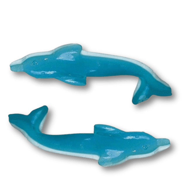 Dauphin XL - 100g
